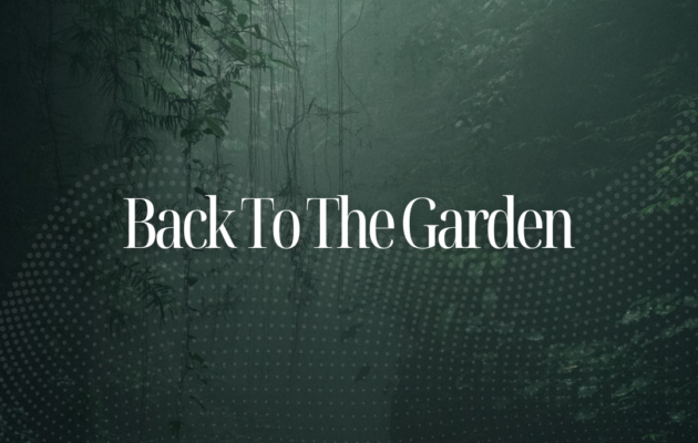 Back to the Garden