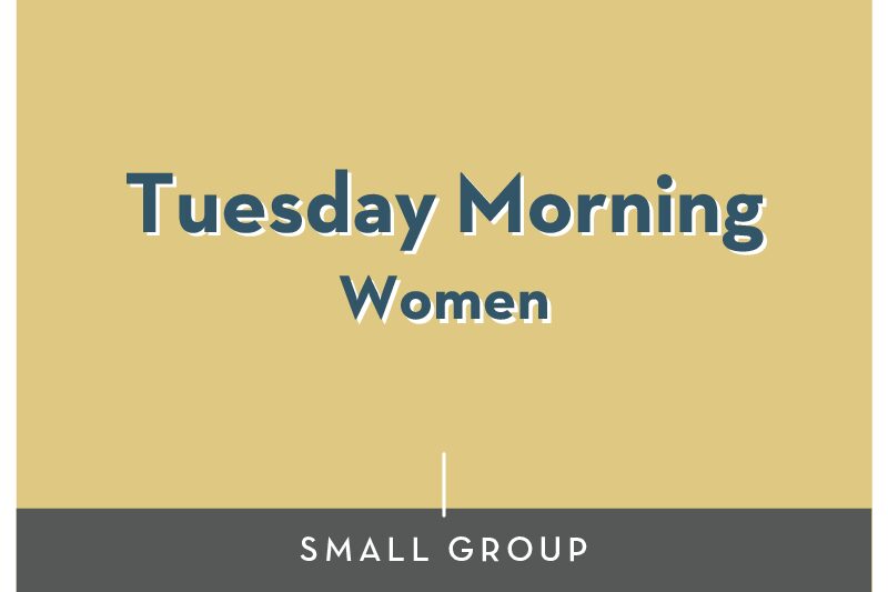 Tuesday Morning Womens