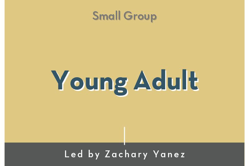 Young Adults