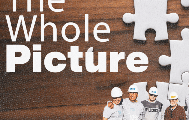 The Whole Picture