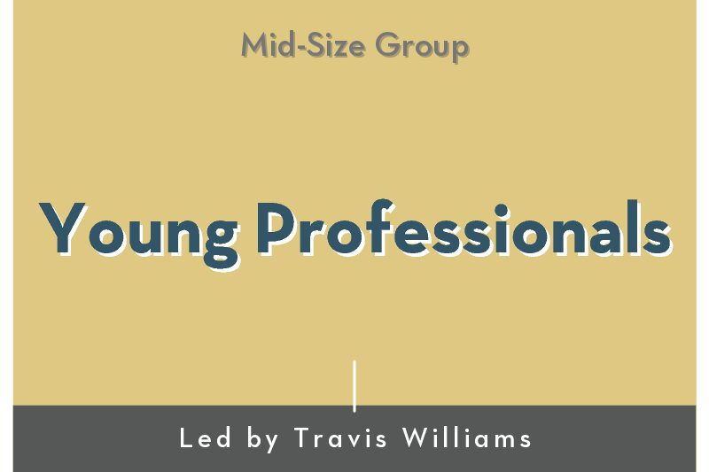 Young Professionals